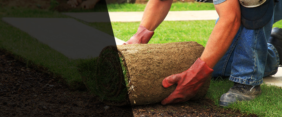 Lake Worth Landscapers